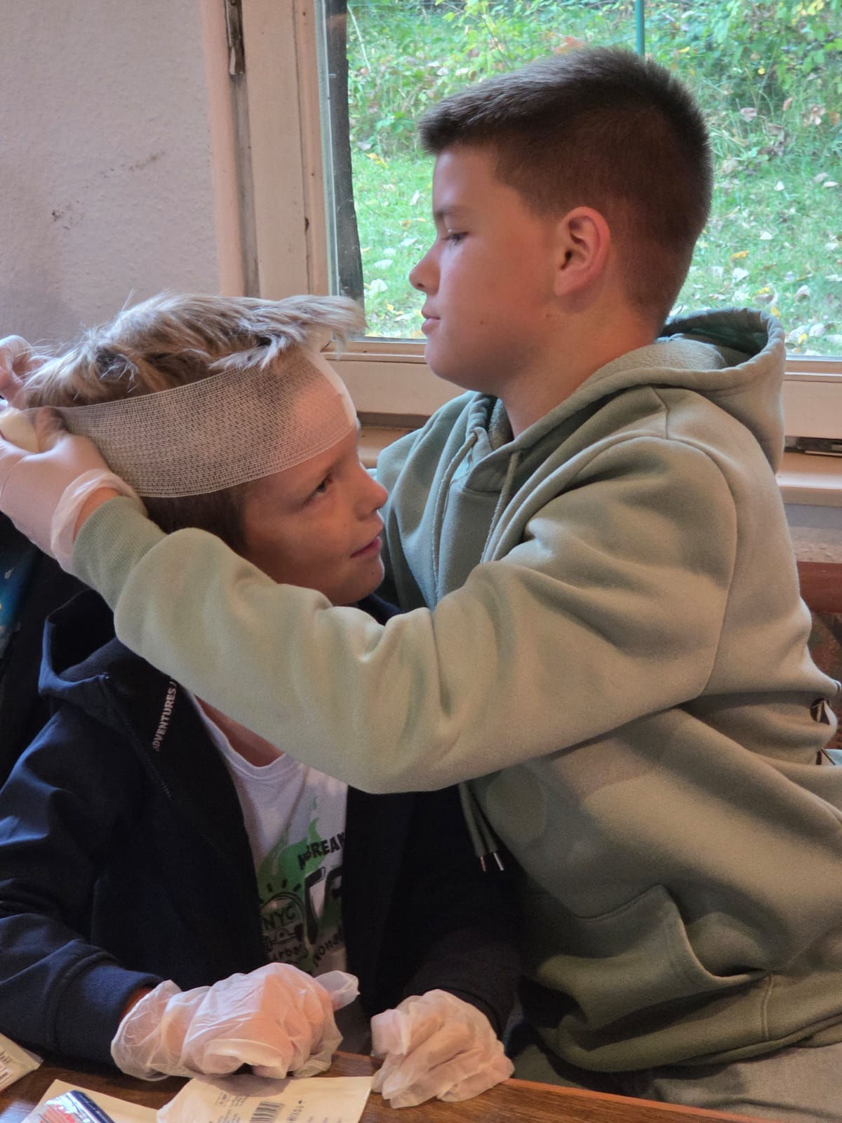 Bild 123
